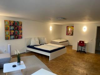 Cal-ifornia Home privat - Nuremberg - 8