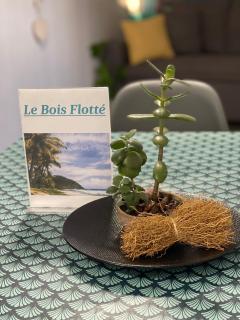 Caze bois flotté - Petite Île - 3