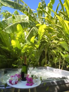 Kaz ananas, spa privatif ,plage du Helleux - Sainte-Anne - 4