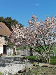Gite rural La Ferme du Semeur-Zaaiershof - 3