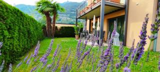 Casa Diana Locarno-Cugnasco - 9