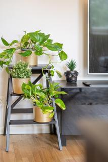 Premium City Center Lukiskiu Apartment - 2