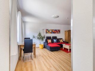 Elegant Appartment - Friburgo em Brisgóvia - 9