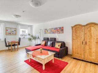 Elegant Appartment - Friburgo em Brisgóvia - 1