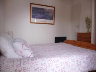 CHALET LES SEQUOIAS DEUX ALPES - Les Deux Alpes - 3