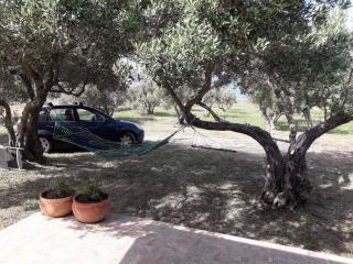 Robinson house Sea & olives - Tisno - 6