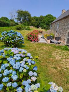 Gîte du Lieu Piquot - Gréville-Hague - 9