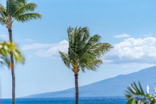 Kuleana 321 - Kahana - 1
