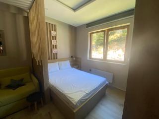 Lana Lux Milmari Resort - Kopaonik - 5