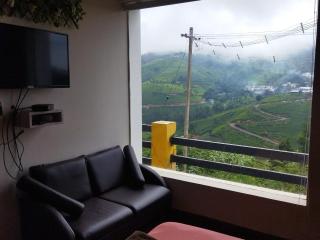 Habib Orchid Villa - Ooty - 8
