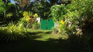 ACACIA'S Cottages with Starlink Wifi - 5