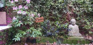 InspireBA - Garden - Buenos Aires - 4