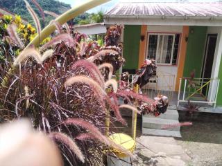 Ian Creole Garaden Cottages - Roseau - 0