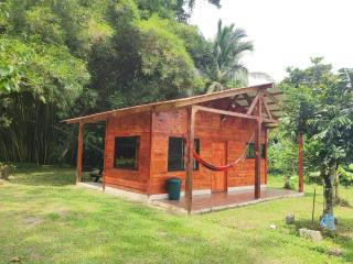 Into the Greens - Madre de Dios - 6