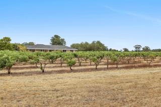 Mid Century 4 Bedroom Getaway in Barossa Vineyard - 6