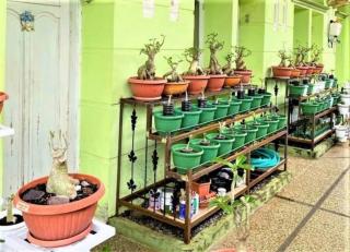OYO 93074 Wisma Aliyah Near Sidrap - - 4