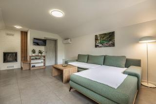 Vineyard Cottage Radovlja With Sauna - Happy Rentals - Smarjeske Toplice - 6