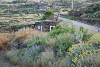 Dammusino: mini-appartamento - Pantelleria - 5