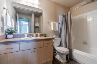 Beautiful and cozy one bedroom apartment -WiFi, BBQ, Patio, Dog park, close to Greenlake and Northgate - Seattle - 5