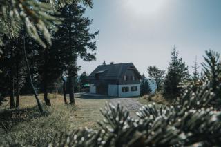 Apartmaji Mara - Ribnica na Pohorju - 7