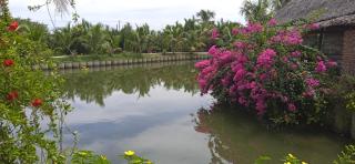 Lakeview Villa Homestay - 4