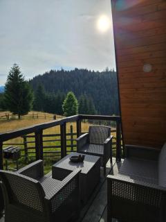 Cabana Corbilor The Raven's Hut - Vatra Dornei - 1