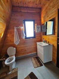 Cabana Corbilor The Raven's Hut - Vatra Dornei - 4