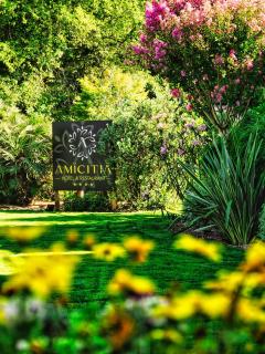 Amicitia - Hôtel & Restaurant - LʼIsle-Adam - 4