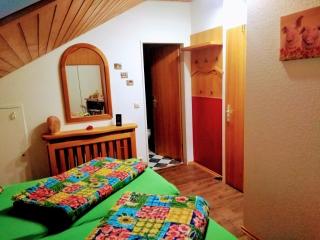 Ferienwohnung Waldkäuzle27 - Lenzkirch - 1