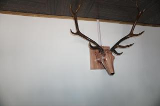Aubiz Villa - Srinagar - 4