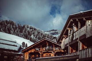 Chalets de l'Alpaga - Megève - 9