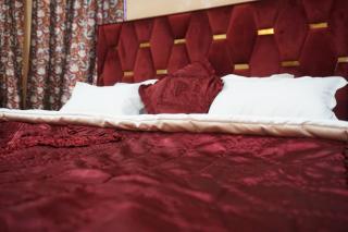 Aubiz Villa - Srinagar - 7
