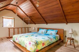 Guesthouse-TheView - Ribeira Brava - 3