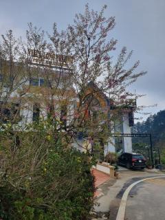 Phượng Chi Homestay Venuestay - Tam Ðảo - 3