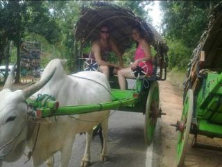 AMRON RESORT SIGIRIYA - 2