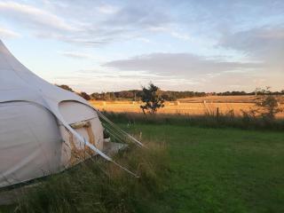 Wild Retreat - Cawston - 2