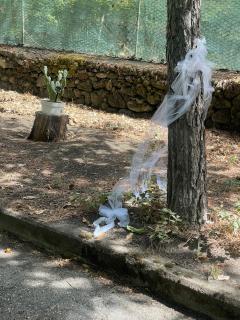 LN ETNA HOUSE-villa ad uso esclusivo - Pedara - 4