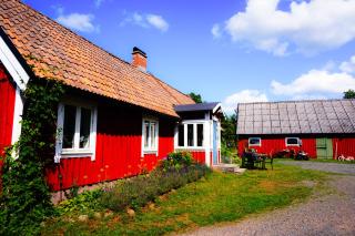 Liten Päronträdgård - 8
