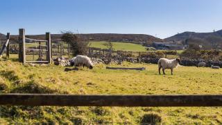Easter Cabin - Moelfre - 3