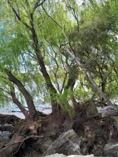 Ruigtevallei Lodge - Gariepdam - 6