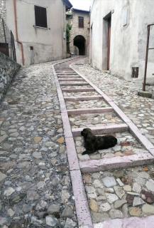 Il Rustico di Meggiano - Meggiano - 6