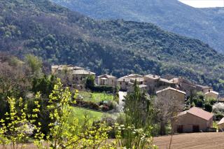 Il Rustico di Meggiano - Meggiano - 5