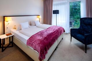 Hotel König Albert - Bad Elster - 4