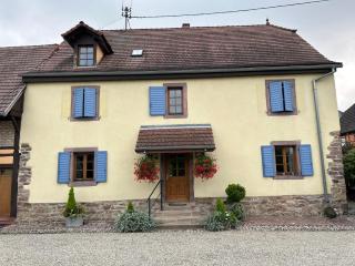 Gîte La maison de Jules - Muntzenheim - 3