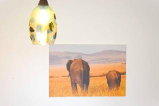 Xellent suites-Muru House - Nakuru - 1