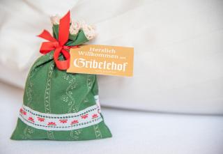 Hotel Gasthof Gribelehof - Lienz - 3