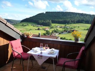 Schwarzwald-Ferienwohnungen Begert - Baiersbronn - 2