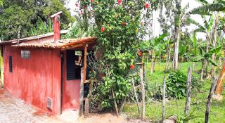 Casa Cacau Boipeba - 4