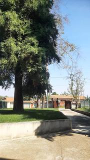 Green Oasis 30 km from downtown Belgrade - - 1