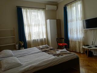 Vake Super Quiet Comfy apartment - Tbilisi - 9